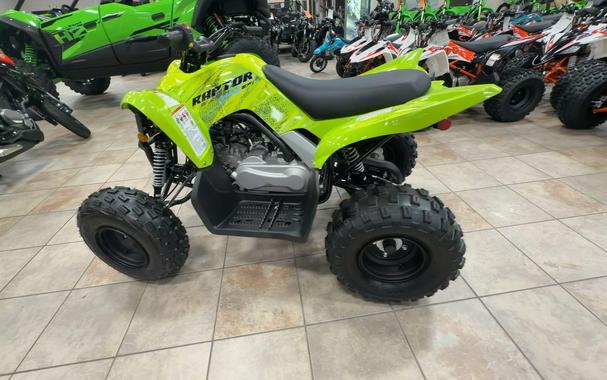 2026 Yamaha RAPTOR 110