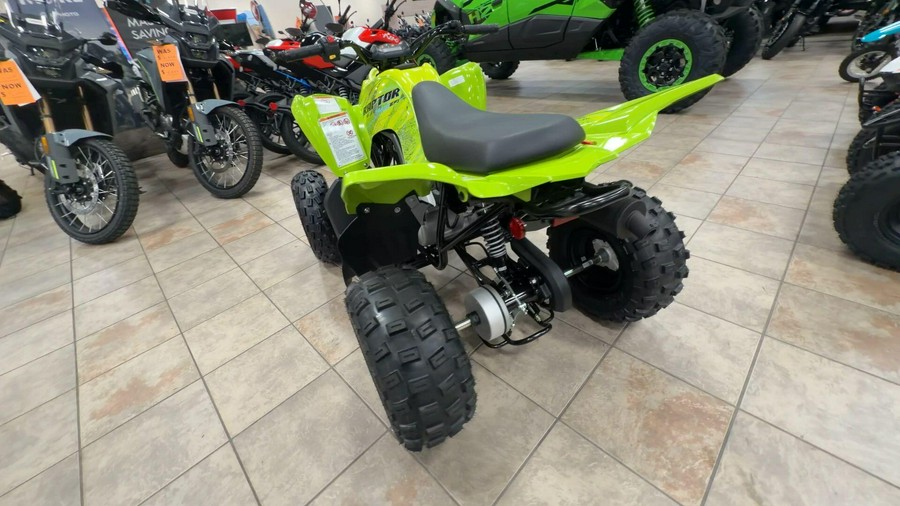 2026 Yamaha RAPTOR 110