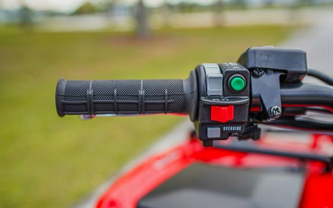 2026 Kawasaki Brute Force 750