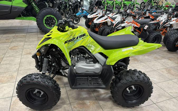 2026 Yamaha RAPTOR 110