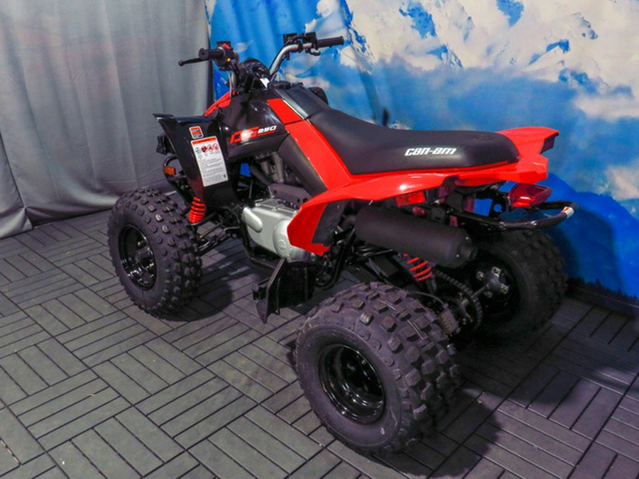 2026 Can-Am DS 250