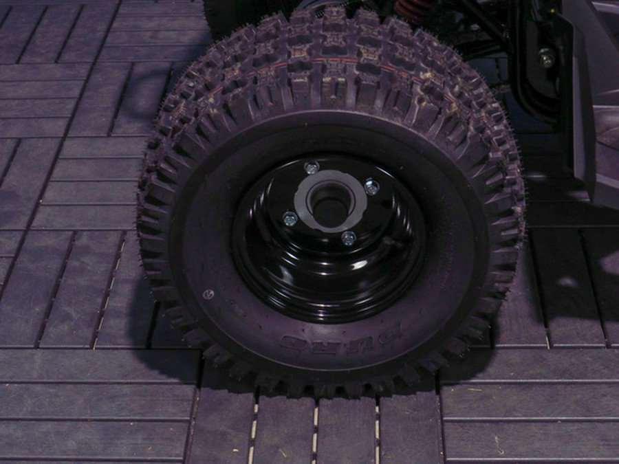 2026 Can-Am Renegade 110 EFI