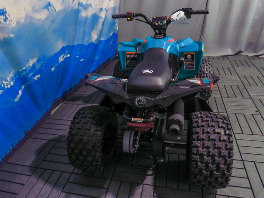 2026 Can-Am Renegade 110 EFI