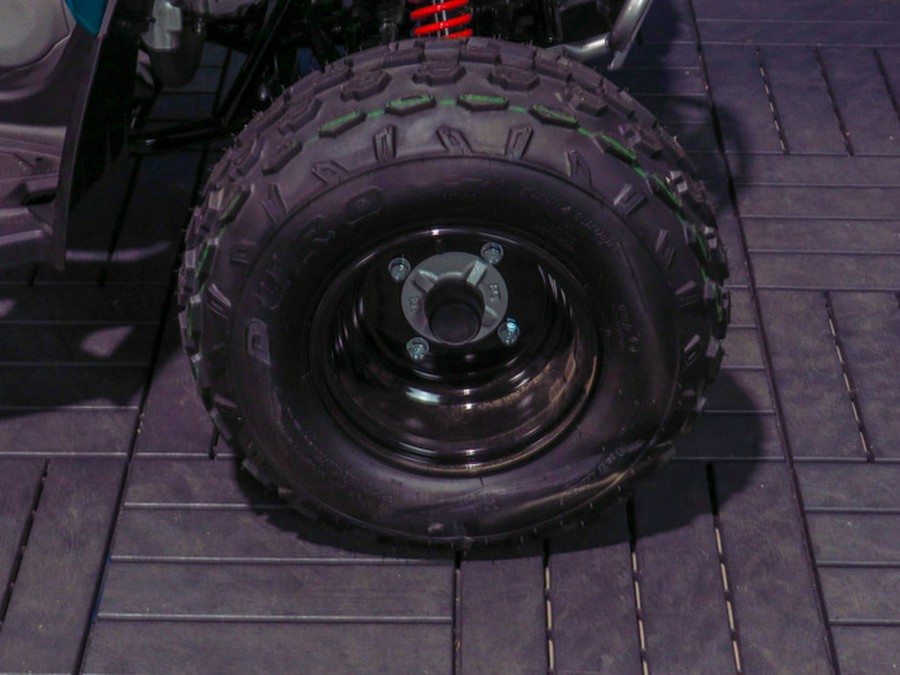 2026 Can-Am Renegade 110 EFI