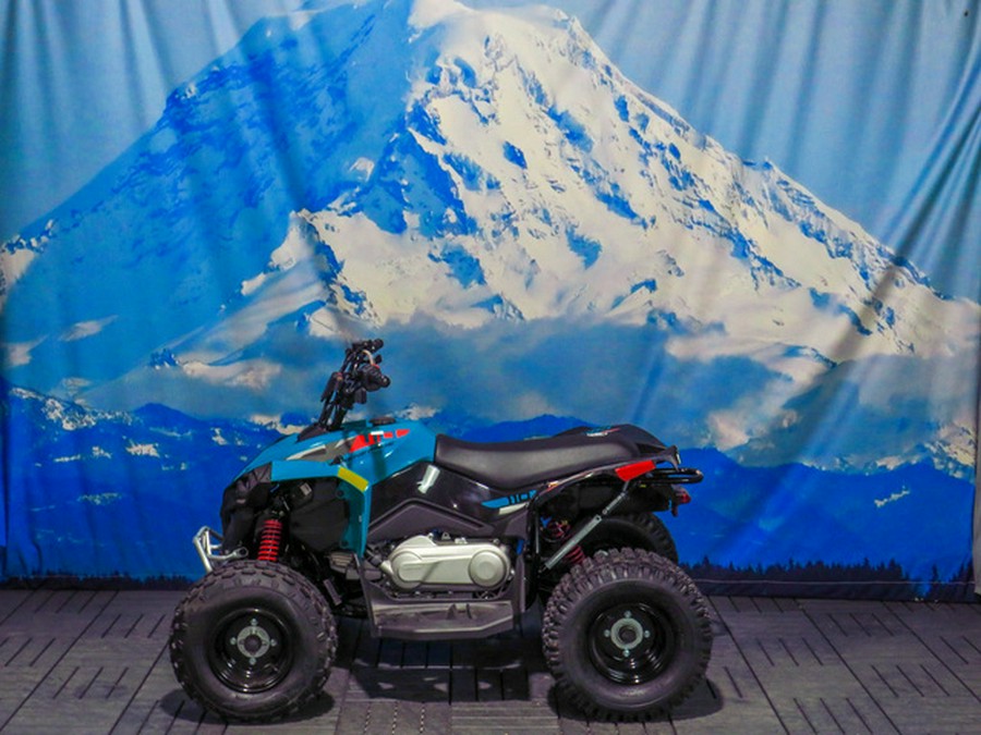2026 Can-Am Renegade 110 EFI