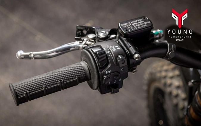 2026 Arctic Leopard XE Pro R