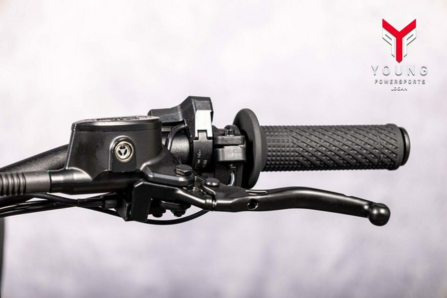 2026 Arctic Leopard XE Pro R