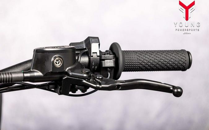 2026 Arctic Leopard XE Pro R