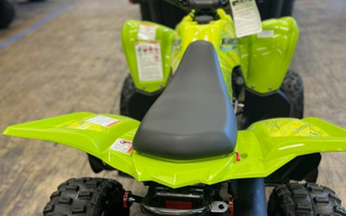 2026 Yamaha Raptor 110