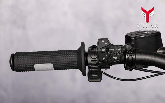 2026 Arctic Leopard XE Pro R
