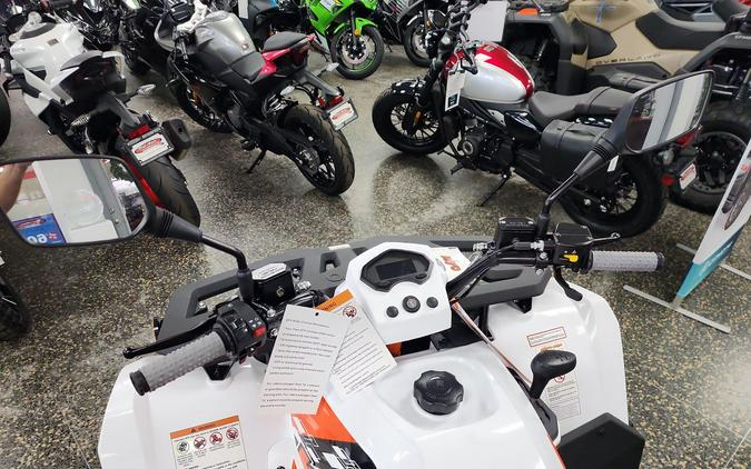 2026 Kayo BULL 300 EFI