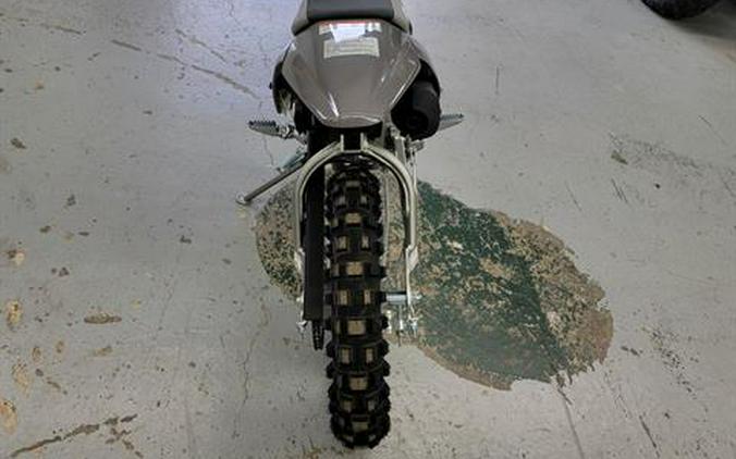 2025 Kawasaki KLX®110R L