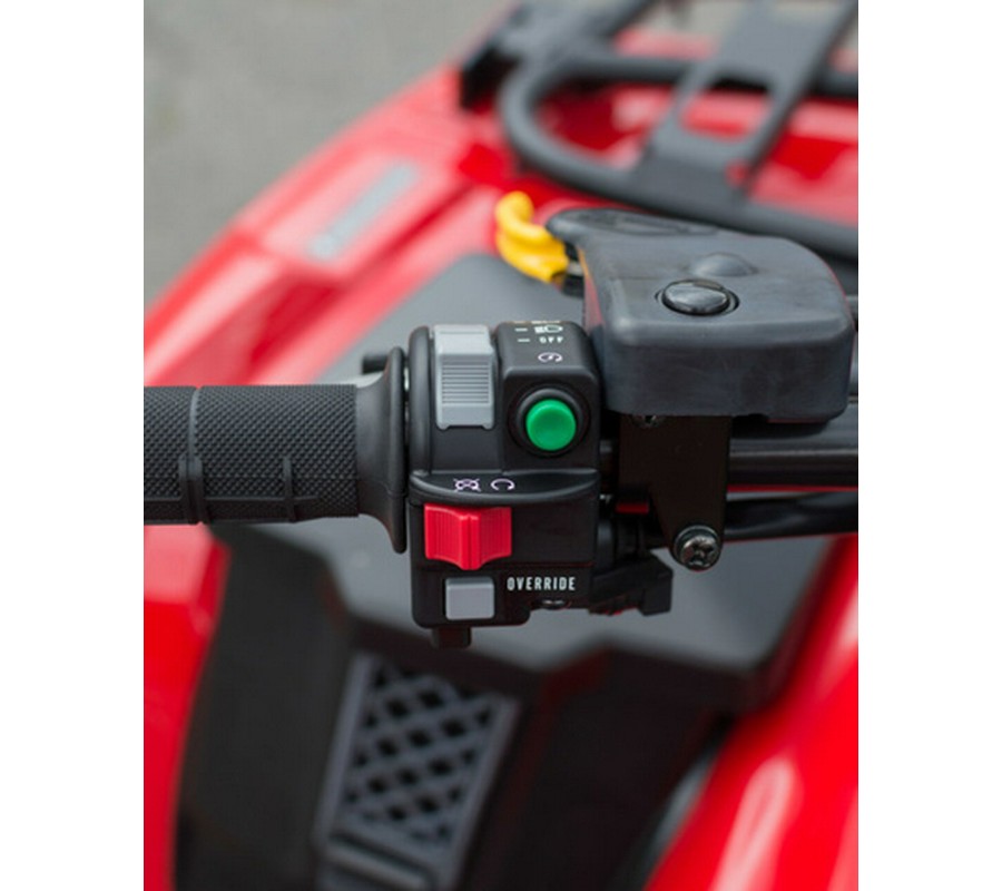 2026 Kawasaki Brute Force 750