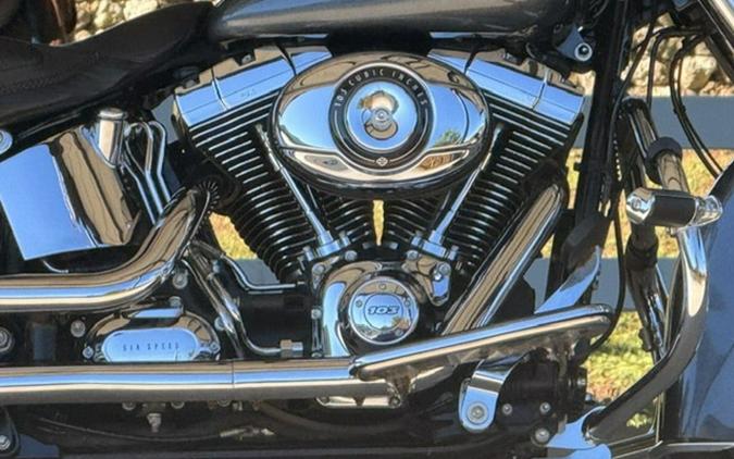 2015 Harley-Davidson FLSTN - Softail Deluxe