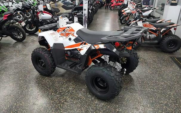 2026 Kayo BULL 300 EFI