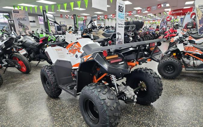 2026 Kayo BULL 300 EFI