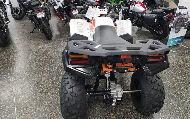 2026 Kayo BULL 300 EFI