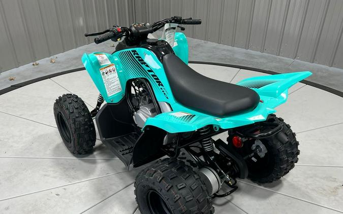 2024 Yamaha RAPTOR 110