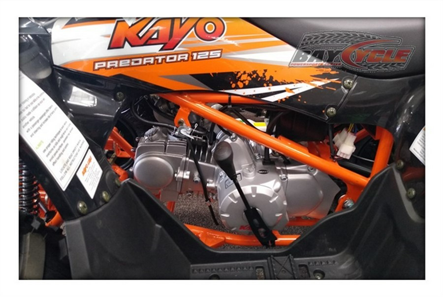 2024 Kayo Predator 125