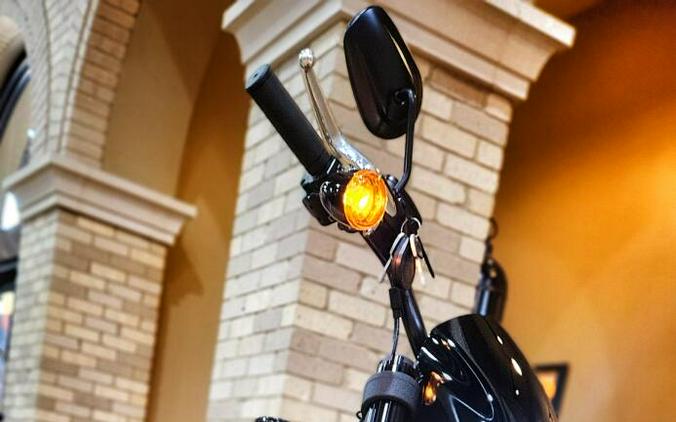 USED 2024 Harley-Davidson® Low Rider® S, FXLRS