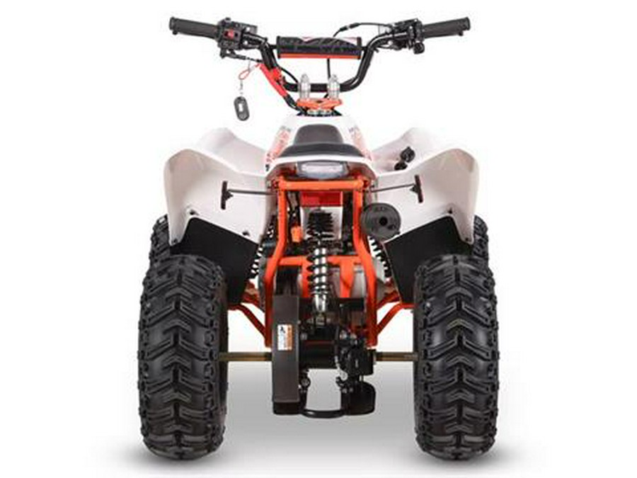 2026 Kayo Storm 70