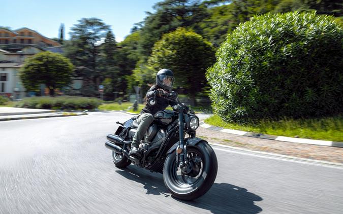 2025 Benda Chinchilla 500