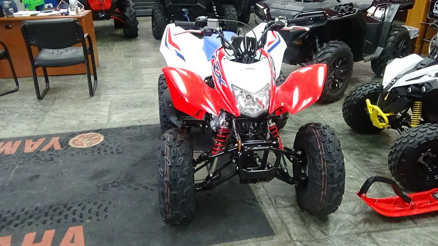 2026 Honda TRX250X