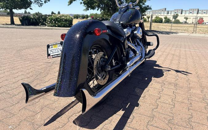 FLSL 2021 Softail Slim®