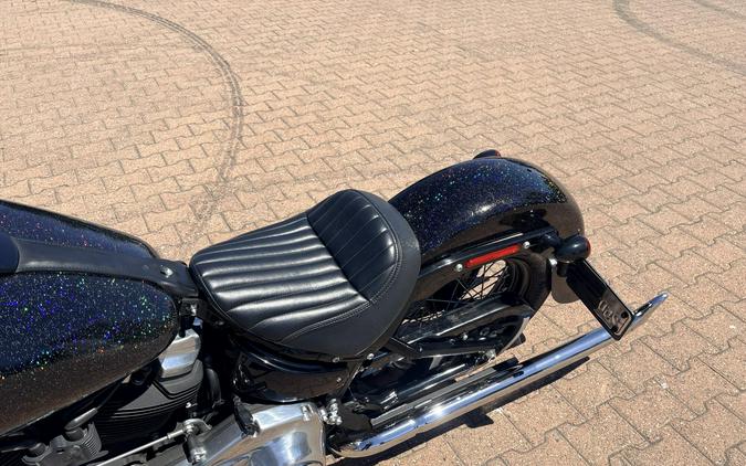 FLSL 2021 Softail Slim®