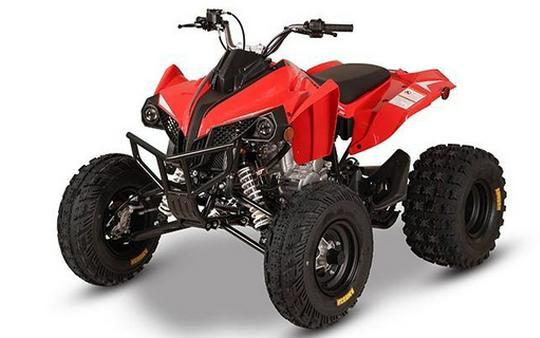 2027 Kayo Storm 300 EFI