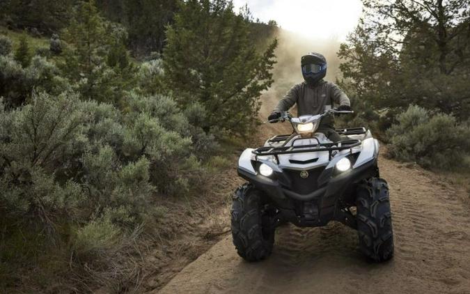 2024 Yamaha Grizzly EPS SE