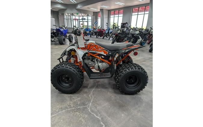 2025 Kayo Predator 125