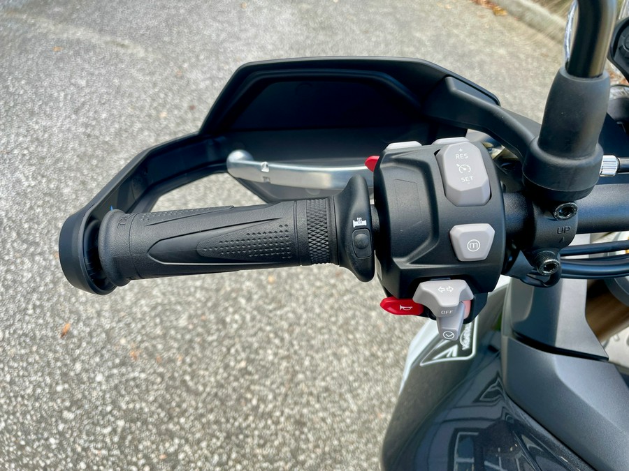 2025 Triumph Tiger 900 Rally Pro