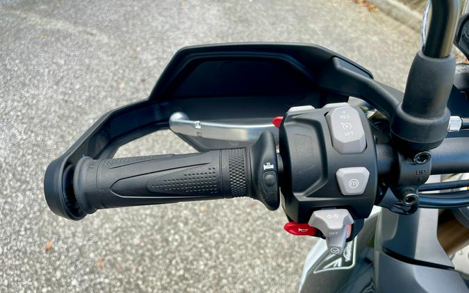 2025 Triumph Tiger 900 Rally Pro