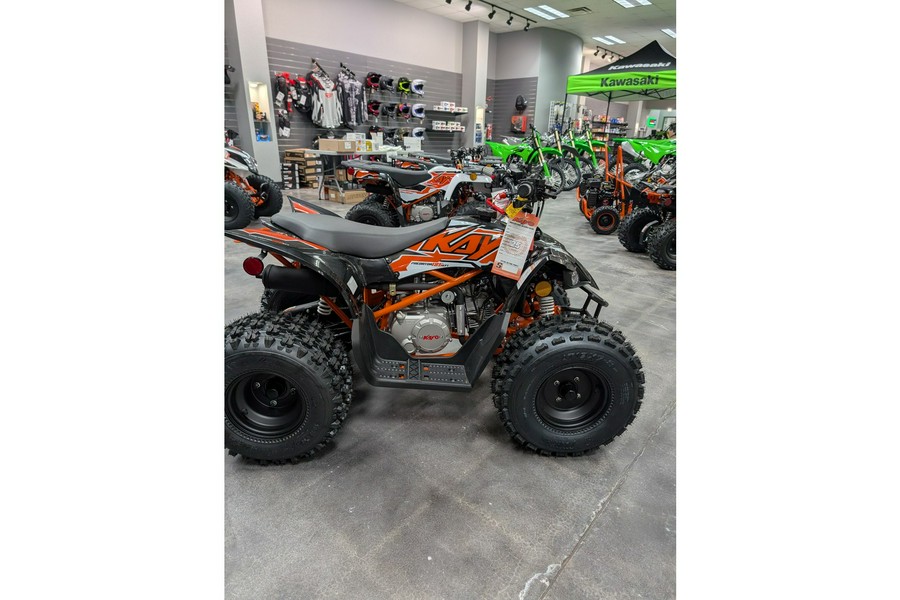2025 Kayo Predator 125