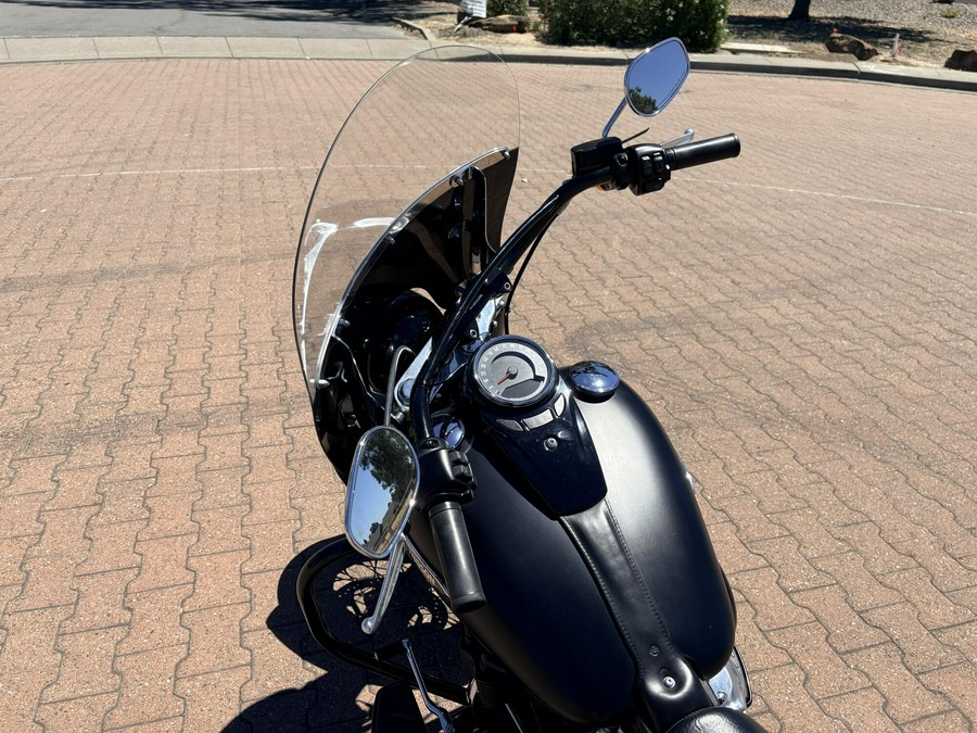 FLSL 2020 Softail Slim®