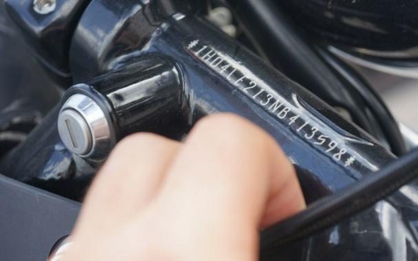 2022 Harley-Davidson XL883N - Iron 883