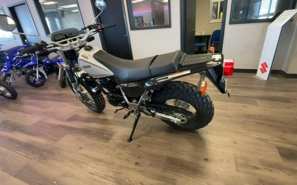 2026 Yamaha TW200