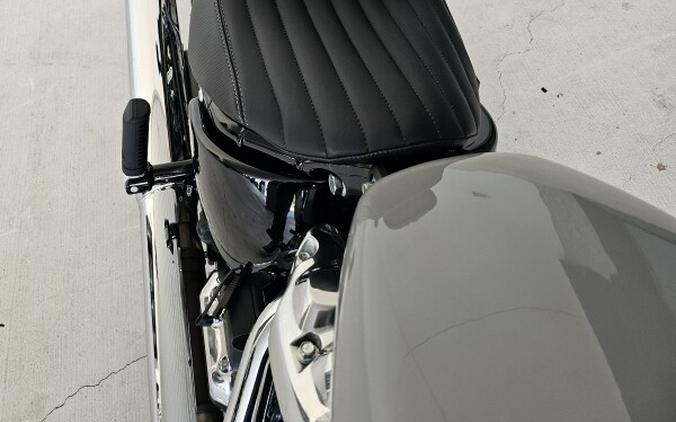 2025 Harley-Davidson Street Bob