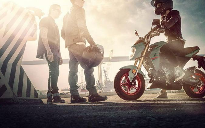 2023 Kawasaki Z125 PRO