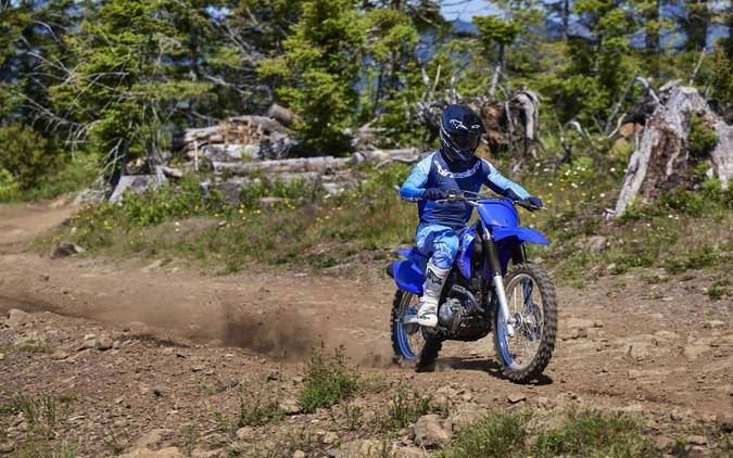 2027 Yamaha TT-R230