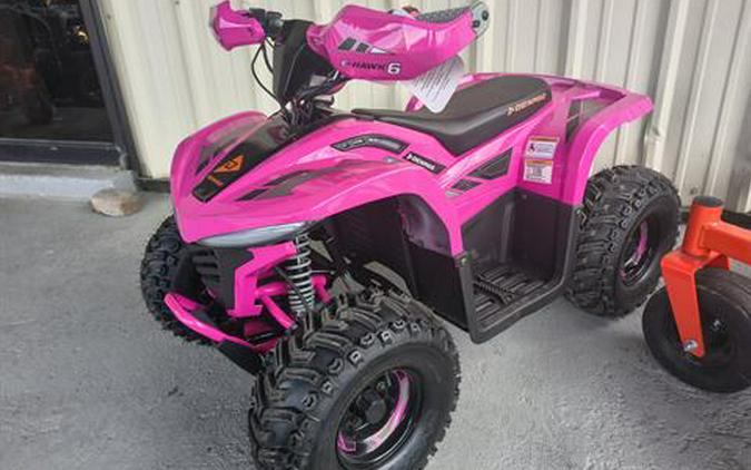 2026 Denago Powersports E-Hawk 6