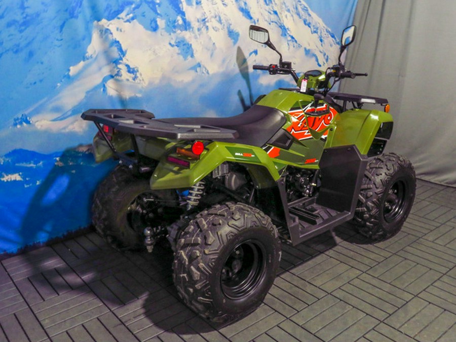 2025 Kayo Bull 300 EFI
