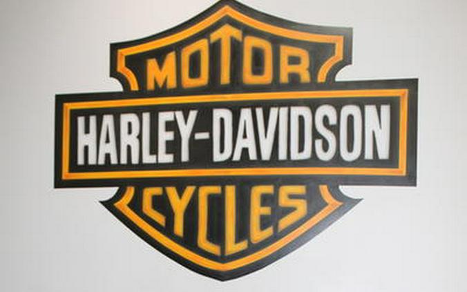 2019 Harley-Davidson® FXBB - Softail® Street Bob®