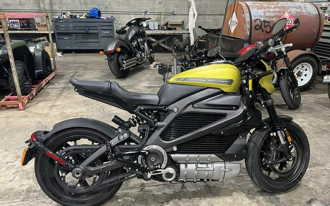 2020 Harley-Davidson LiveWire First Ride