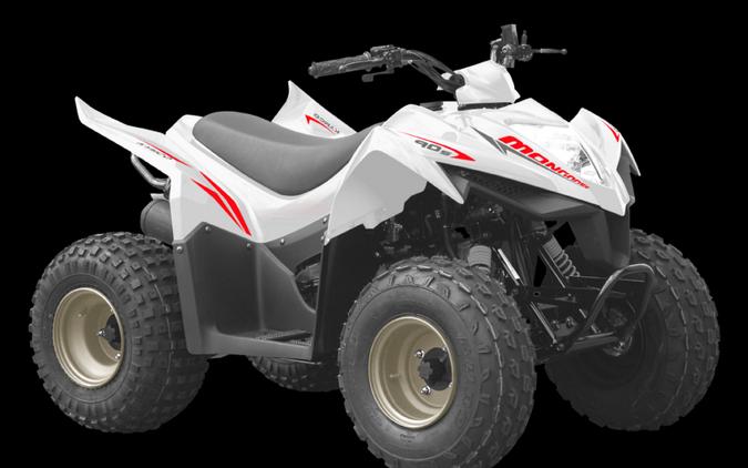 2023 KYMCO MONGOOSE 90S