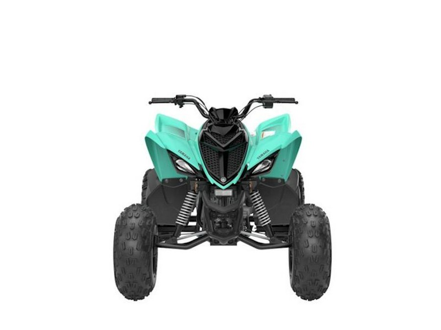 2025 Yamaha Raptor 110