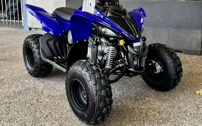 2026 Yamaha Raptor 110