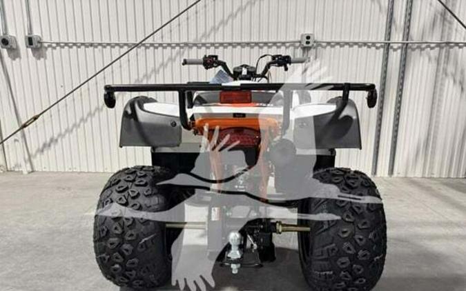 2026 Kayo BULL 150
