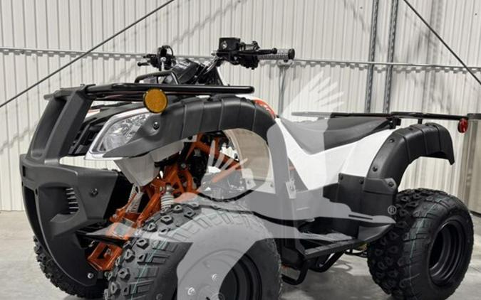 2026 Kayo BULL 150